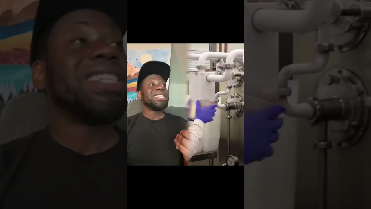 When people fight over subbed vs dubbed anime