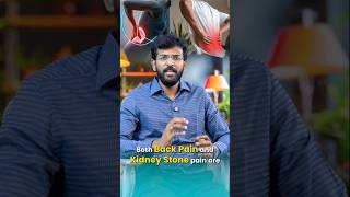 Back Pain Vs Kidney Stones How To Tell The Difference & Symptoms Explained