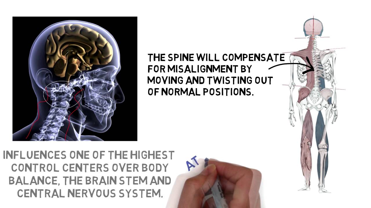 NUCCA Upper Cervical Chiropractor in Franklin Tennessee