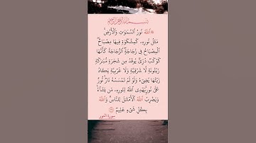 القرآن الكريم سورة النور صلاح بوخاطر #القرآن_الكريم #راحة_نفسية #اطمئن_وتوكل_على_الله