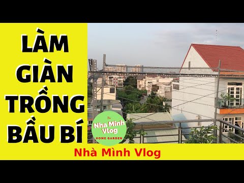 Video: Squash Trellising - Làm thế nào để trồng bí trên giàn đỡ