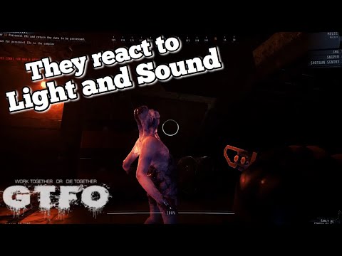 DON'T BREATHE! | GTFO