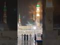 Hazarat pbuh roza beautiful view in  seengar hyder official youtube channel