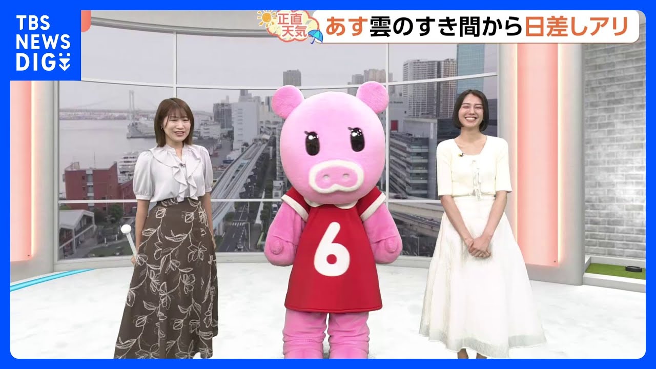 【6月11日 関東の天気】梅雨の合間にカミナリ注意｜TBS NEWS DIG