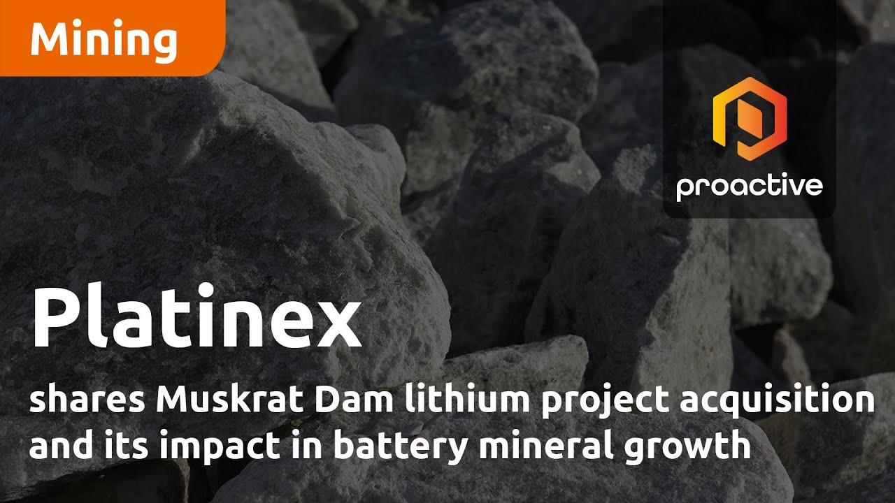Platinex shares Muskrat Dam lithium project acquisition and its impact