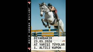 Diyarbakır At Yarışı Tahminleri 23 Mayıs 2026, Detayli Analizler