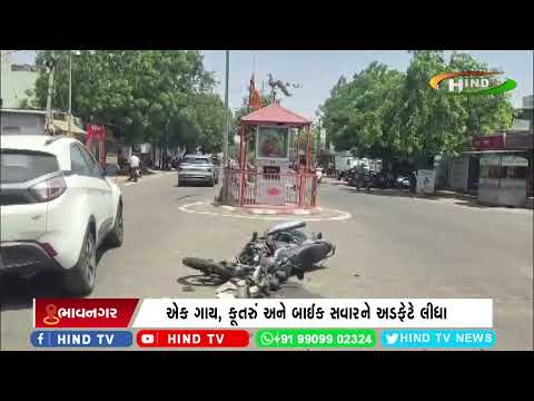 ભાવનગરમાં કાર ચાલક ફૂલ સ્પીડમાં આવતા અકસ્માત