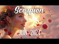  scorpion  juin 2024  un projet se dessine 