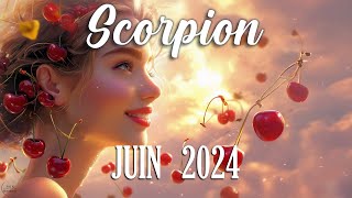 🍒 SCORPION - JUIN 2024 - UN PROJET SE DESSINE !