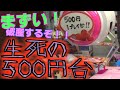 500円台と大きなカツ【UFOキャッチャー日記#14】
