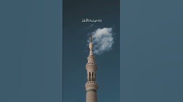 القارئ المثنى البابطين
