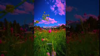 ✨Diego Gonzalez - Thank You For Everything ❣️ English Status | Aesthetic Status | Darsh Era #lyrics