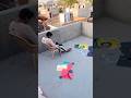 tep se padosi ke Patang chori kar li 😜 #youtubeshorts #tranding #kite #kiteflying #patang #shorts
