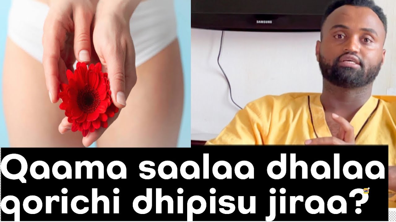 Qaama saalaa dhalaa qorichi dhiphisu jiraa?gaaffii dhaggeeffattootaa