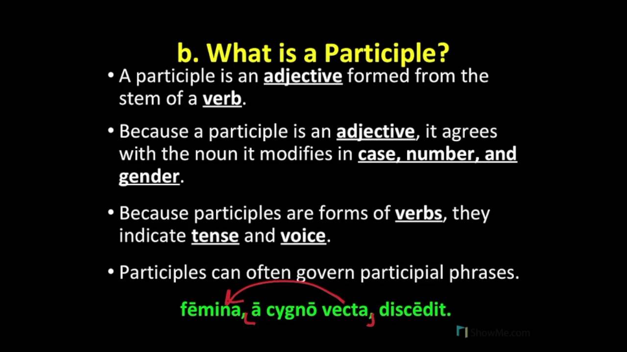 04 Perfect Passive Participles YouTube