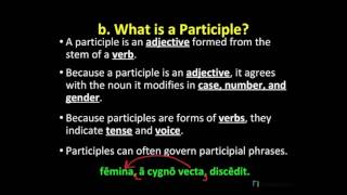 04 Perfect Passive Participles