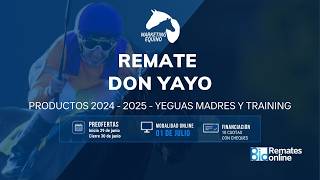 🐴REMATE HARAS DON YAYO🐴