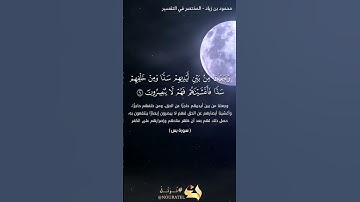 بداية سورة يس/ #القرآن_الكريم #المصحف #تيك_توك #راحة_نفسية