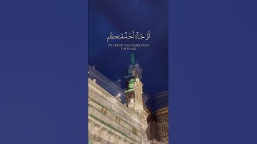 سورة المائدة القارئ:ماهر المعيقلي #القرآن_الكريم #ماهر_المعيقلي #ترند #اكسبلور #quran #foryou #لايك