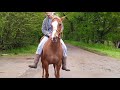 Jolie 11 Yr Old REALLY Nice Mare Bareback Right Off Trailer 