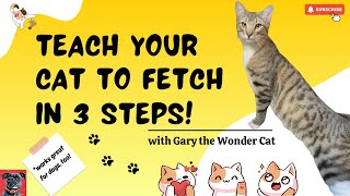 Teach Your Cat Fetch in 3 Easy Steps!