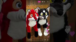 SoftCandy Backerkit 2026