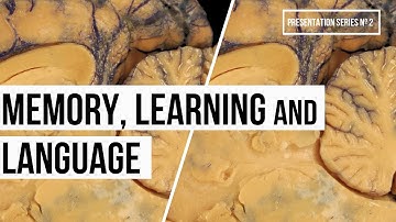 Memory, Learning and Language (Video Nº10, Series #2)