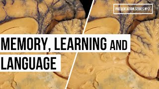 Memory, Learning and Language (Video Nº10, Series #2)