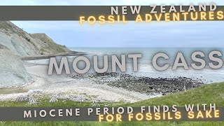 Fossil Hunting | Finding TUMIDOCARCINUS Fossil CRABS
