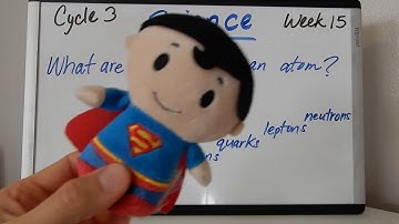 CC Cycle 3 Week 15 Science