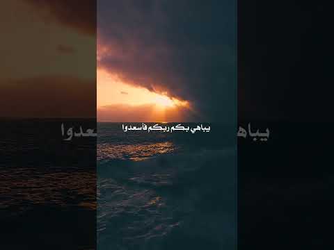 ال عرفات عبد الرحمن مسعد