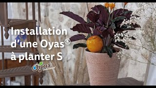 Tutoriel - Installation De Nos Oyas À Planter S - Plantes Dintérieur Et Arrosage Autonome