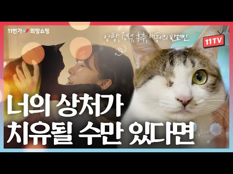 장애가 있어도 똑같은 고양이에요! 읏디의 고양이 타이쿤🐱 희망가득챌린지 Ep. 2