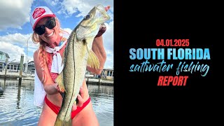 SOUTH FLORIDA SALTWATER FISHING REPORT (04/01/2025)