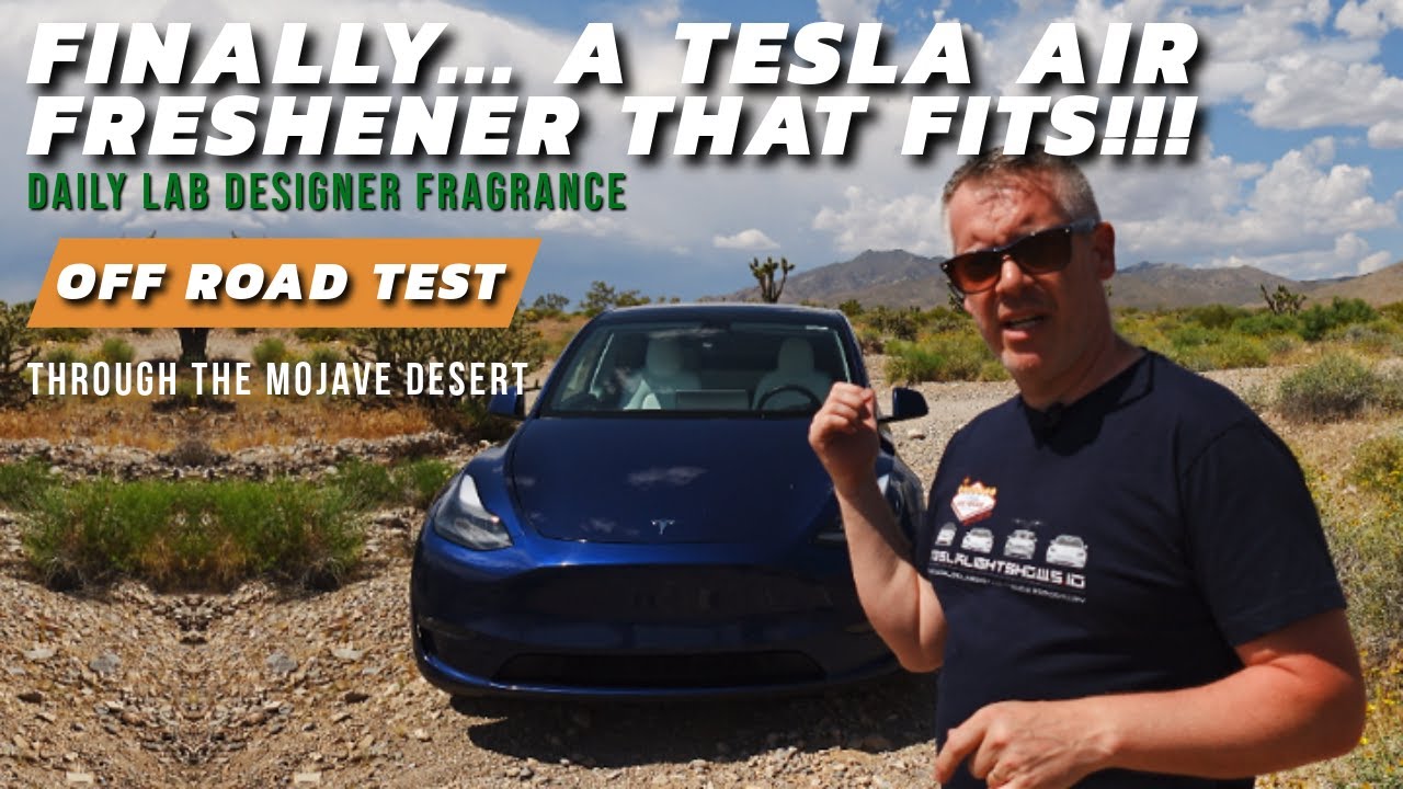  JMEY Tesla Model 3/Model Y Vent Car Air Freshener, Long-Lasting  Fragrance for Car Accessories and Decor for Men Women- 2 Pods (120 Days)  Mint Scent : Automotive