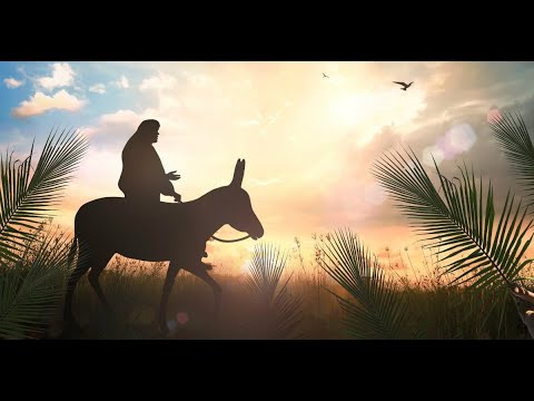 Let Our 'Hosanna' be