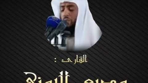سورة الاحزاب بصوت القارئ وديع يمني