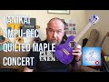 Got A Ukulele Reviews - Lanikai QMPU-CEC Quilted Maple Concert - 4K