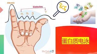 蛋白质分析的透视概述 (Chinese) 在七分钟内 蛋白质分析的透视概述 (Chinese) 在七分钟内