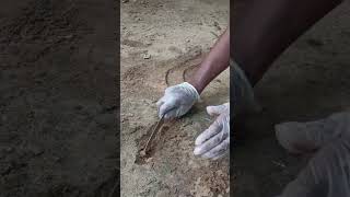 An Example Of Ability..watch The Full Video From The Channel