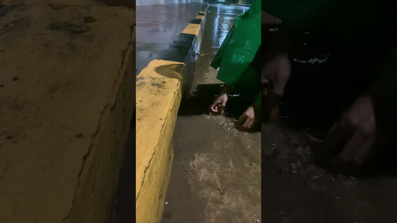 Extreme clog drain unclogging remove leaf 