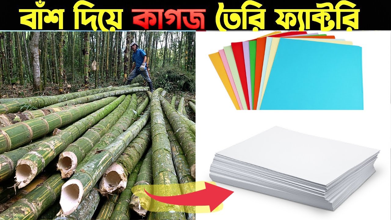 paper making process in factory / ফ্যাক্টরিতে কিভাবে তৈরি করা হয় কাগজ