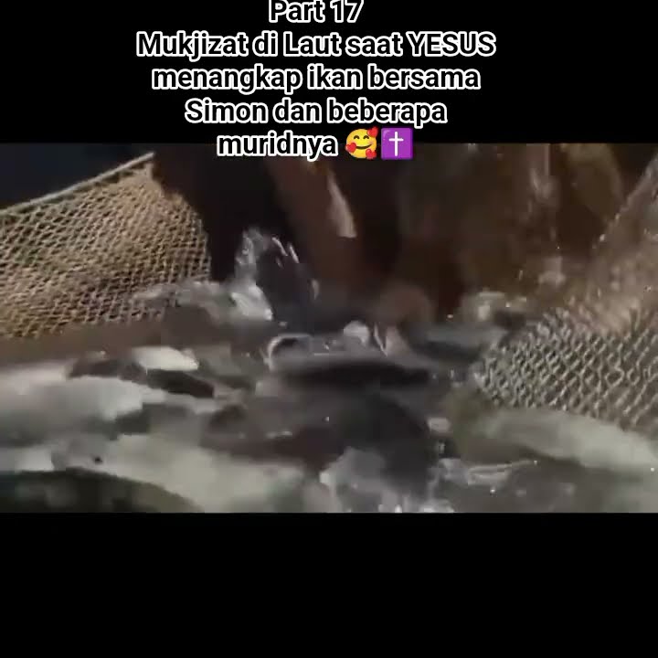 MIRACLES WHEN JESUS ​​🤗 CATCHED FISH WITH SIMON ✝️🌊#Jesus #MiraclesofJesus #SimonPeter #Faith