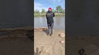 Live highlight #catfishing #catchthefever #madkatz #piscifun #river #fishing