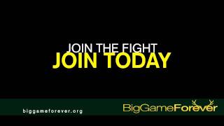 Big Game Forever Mdf