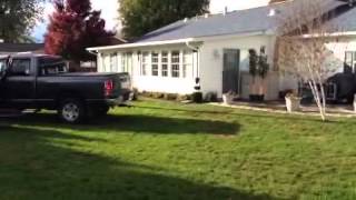 Uprooting A Tree With A Truck