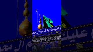 Salam Ya Imam E Zamana Mohammed mehandi  A.S #ameen screenshot 1