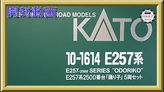 【開封動画】KATO 10-1614 E257系2500番台「踊り子」 5両セット 【鉄道模型・Nゲージ】