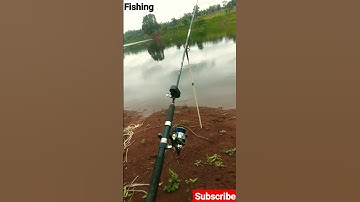 Câu lăng xê hồ tự nhiên #shorts #fishing