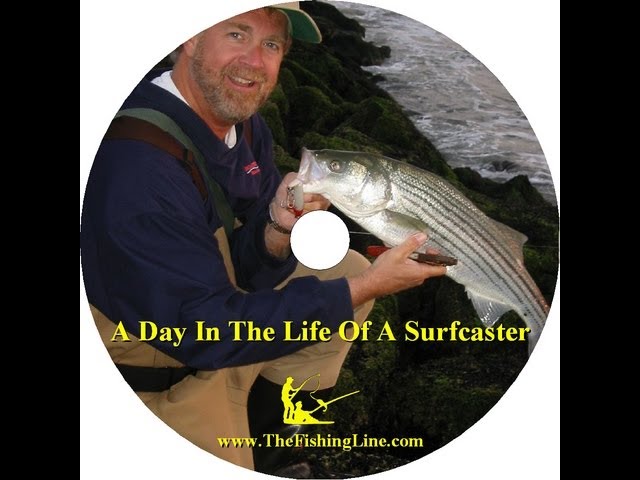 A Day In The Life Of A Surf Fisherman 